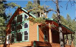 Cabin Kit Model - Hawksbeard, interior pine paneling, fir floors, stone fireplace.